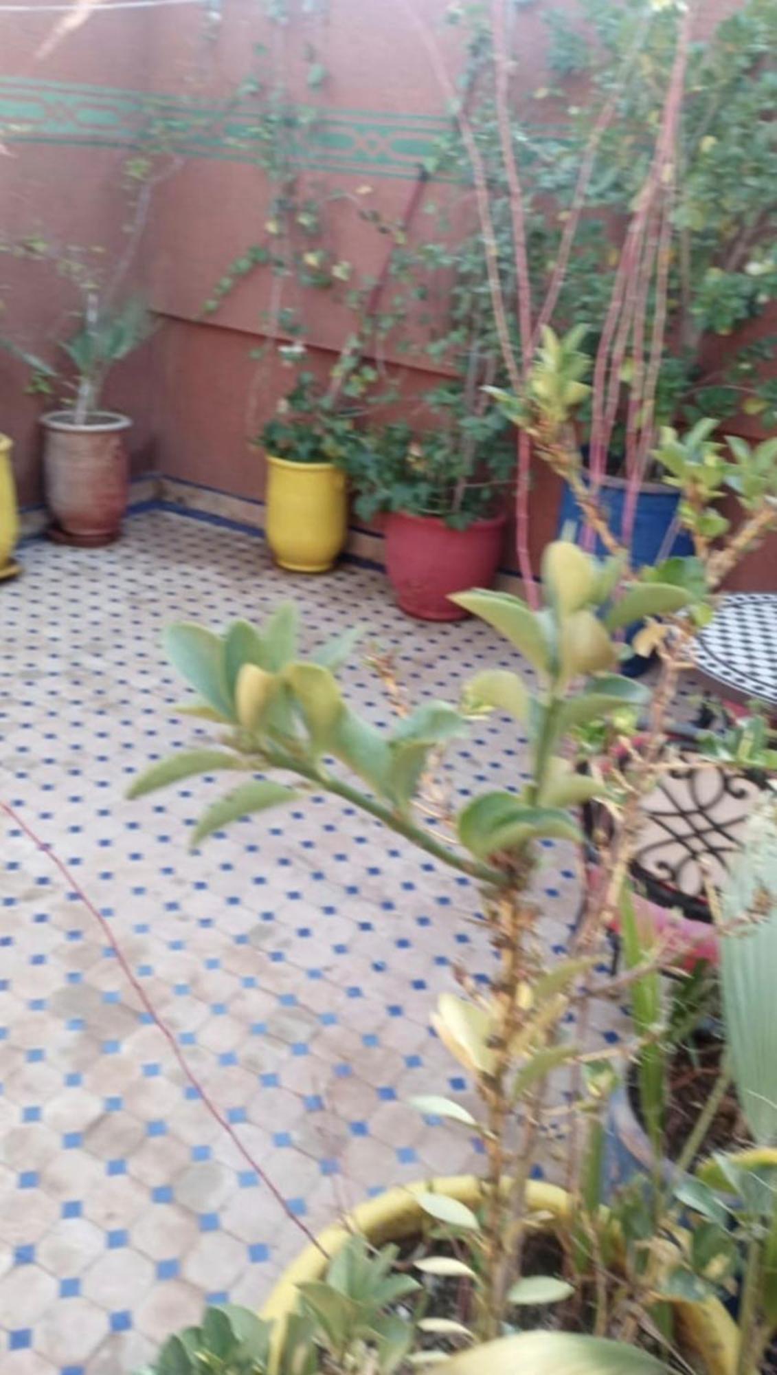 Charmant Riad Au Coeur De Marrakech Marrakesh Exterior foto